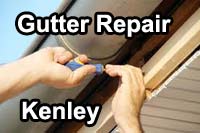 gutter vacuum