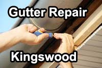 gutter vacuum