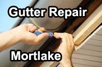 gutter vacuum