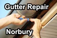 gutter vacuum