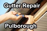 gutter vacuum