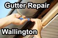 gutter vacuum