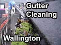 gutter vacuum