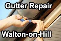 gutter vacuum