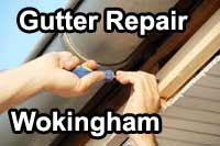 gutter vacuum