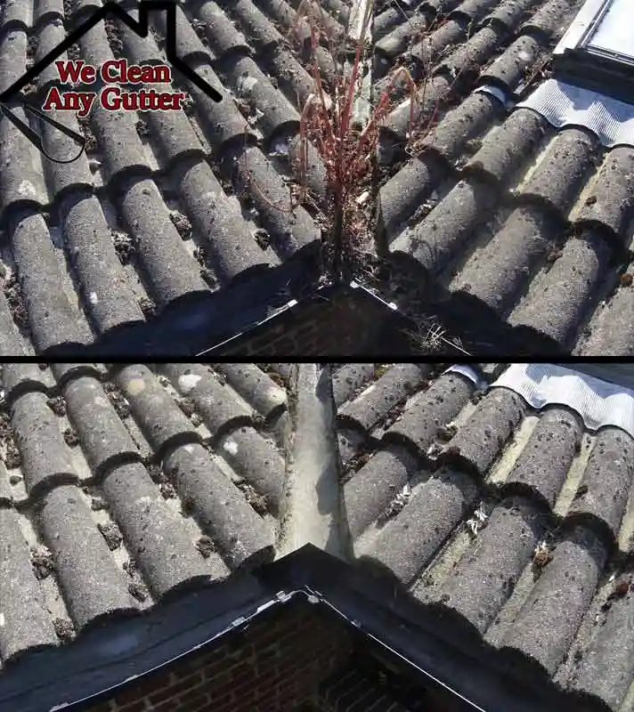 before and after Glasgow blocked gutter clearance  