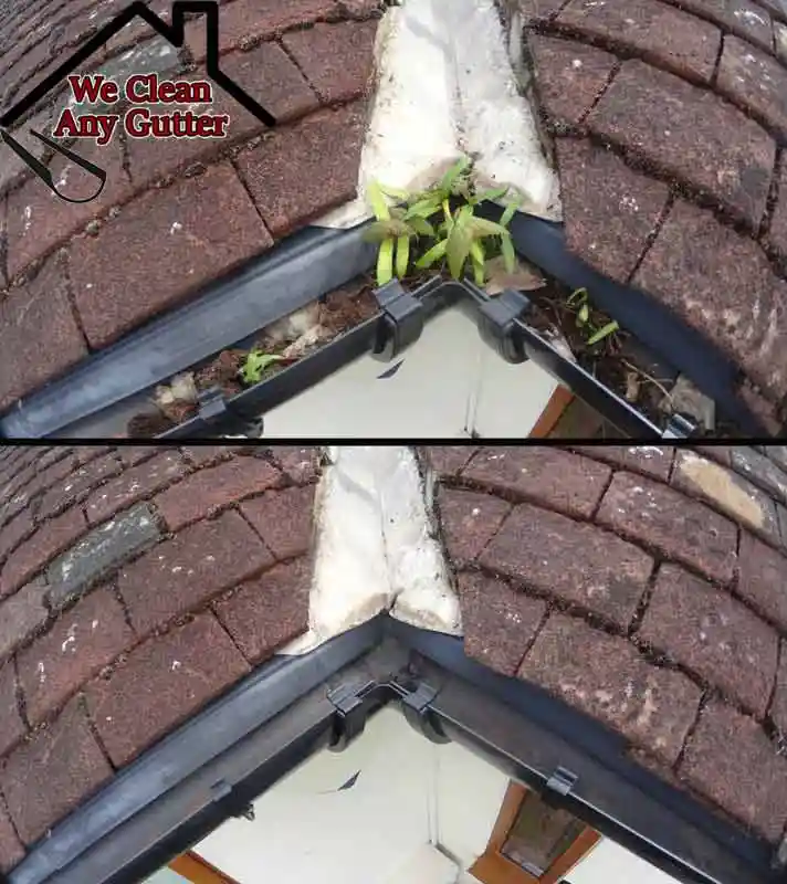 Glasgow blocked gutter