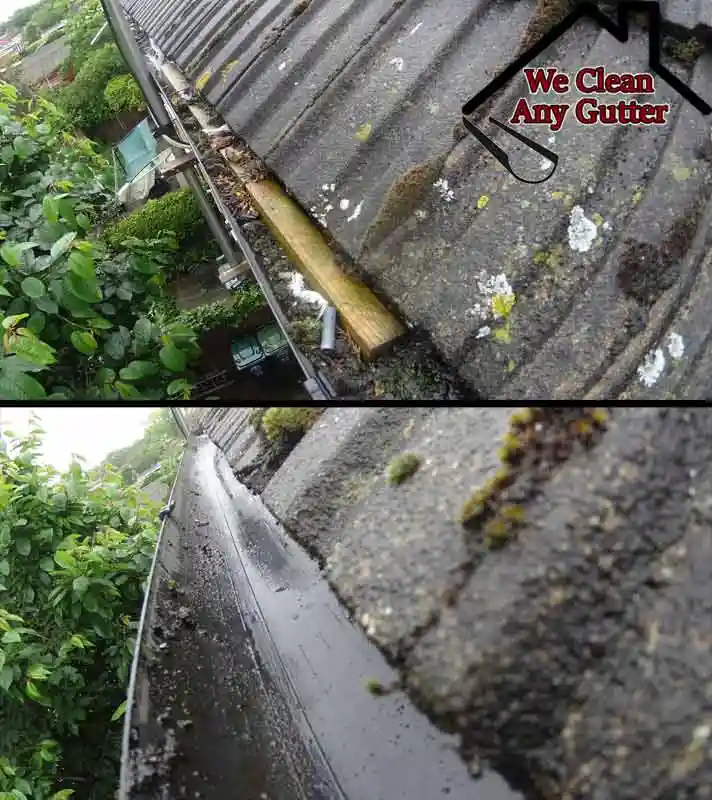 before and after Saltdean gutter clearance