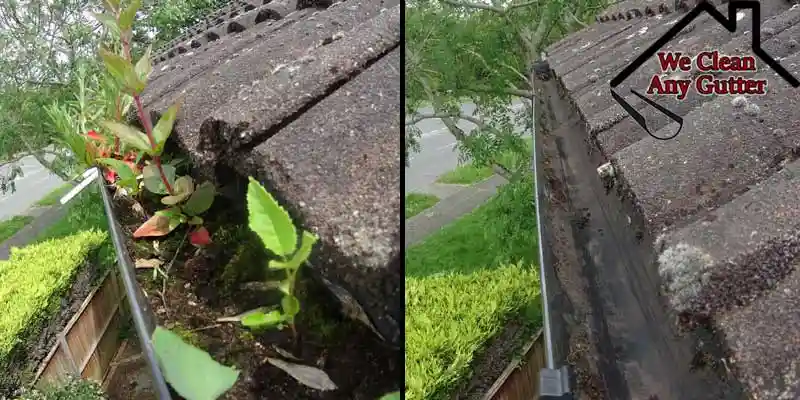 Gutter cleaning in Surrey