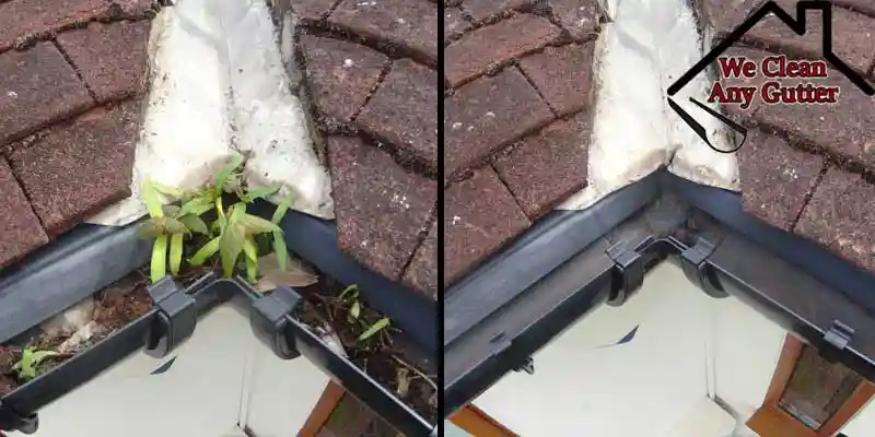 Before and after New Malden gutter cleaning