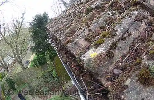 Alton blocked gutter