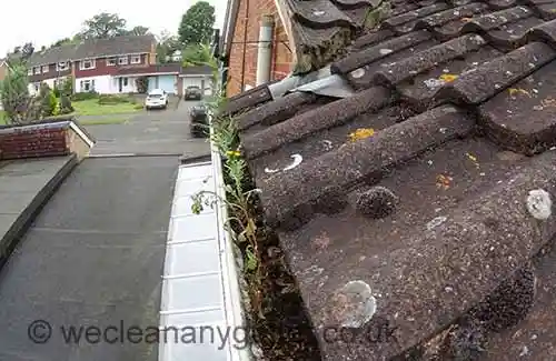 Alton gutter cleaning