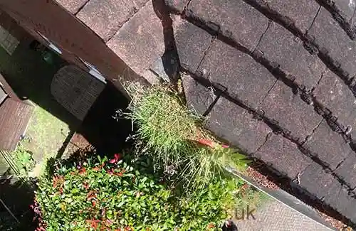Banstead gutter cleaning