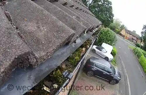Barnes, Mortlake & Roehampton gutter cleaning
