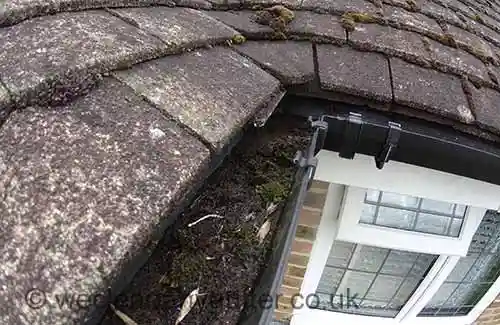 Brixton gutter cleaning