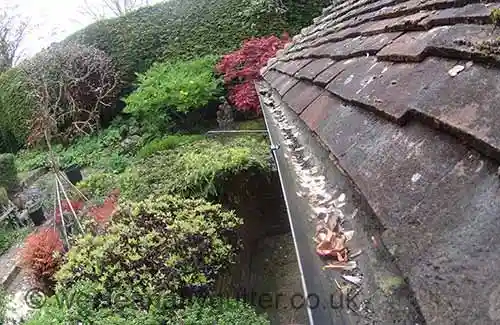 Camberley blocked gutter