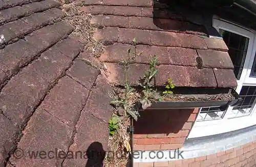 Camberley gutter cleaning