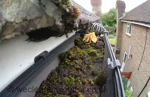 Carshalton, Hackbridge & Wallington gutter cleaning