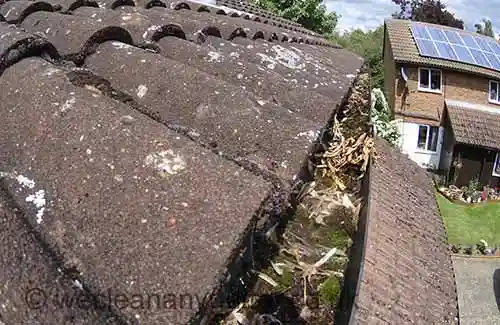 Earlsfield gutter cleaning