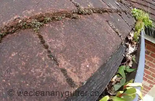 Epsom blocked gutter
