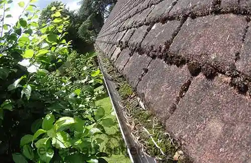 Esher gutter cleaning