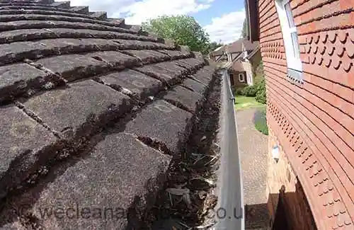 Ewell gutter cleaning
