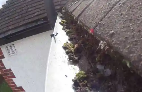 Farnham blocked gutter