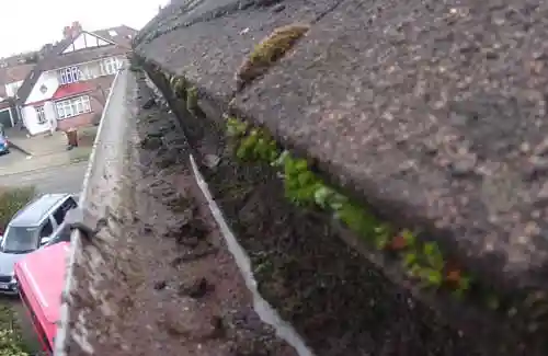 Farnham gutter cleaning