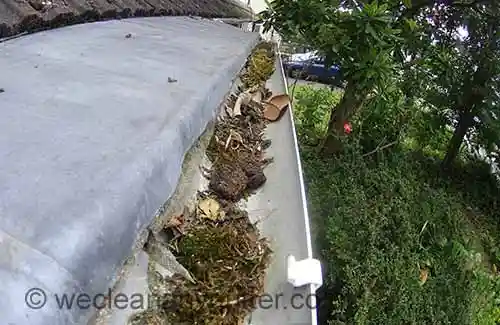 Forest-Row gutter cleaning