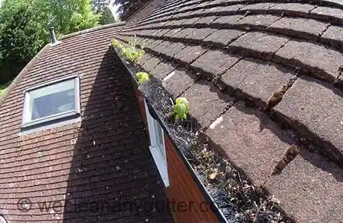 Hersham blocked gutter