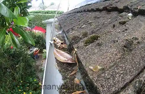 Horsham gutter cleaning team