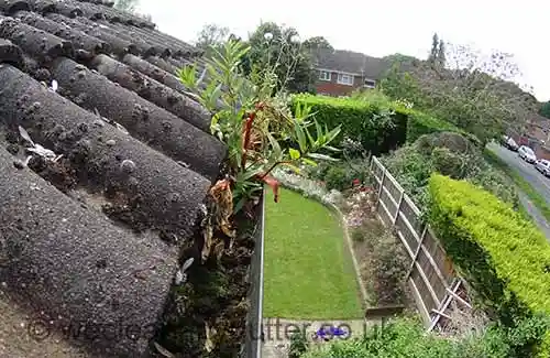 Kew gutter cleaning