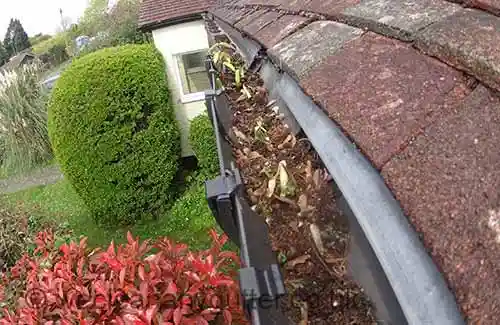 New Malden & Raynes Park blocked gutter