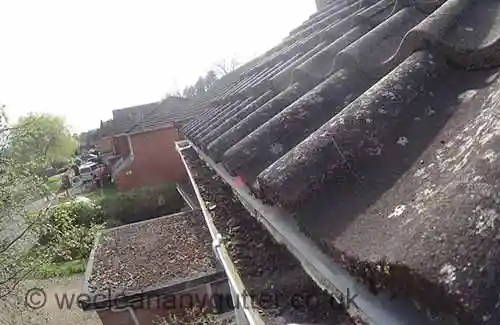 Petersfield blocked gutter 