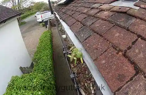 Barnes, Mortlake & Roehampton blocked gutter