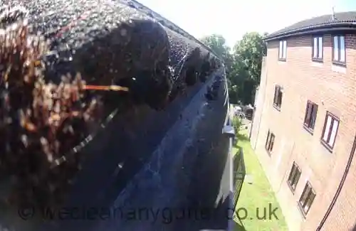 Seaford gutter cleaning