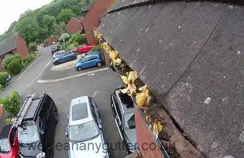 Southfields gutter cleaning