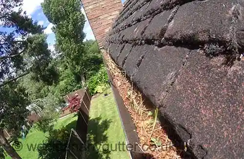 Sunbury-on-Thames gutter cleaning