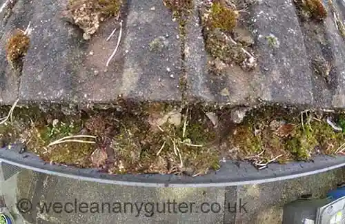 Carshalton, Hackbridge & Wallingtonblocked gutter