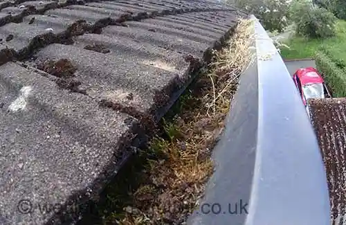Walton-on-the-Hill gutter cleaning