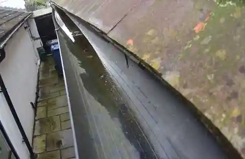 Windsor gutter cleaning
