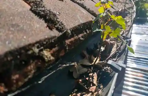 Worcester-Park gutter cleaning