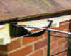 gutter install