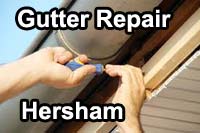 gutter vacuum
