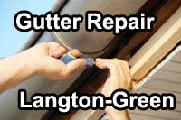 gutter vacuum