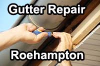 gutter vacuum