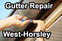 gutter vacuum