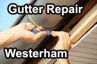 gutter vacuum