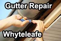 gutter vacuum