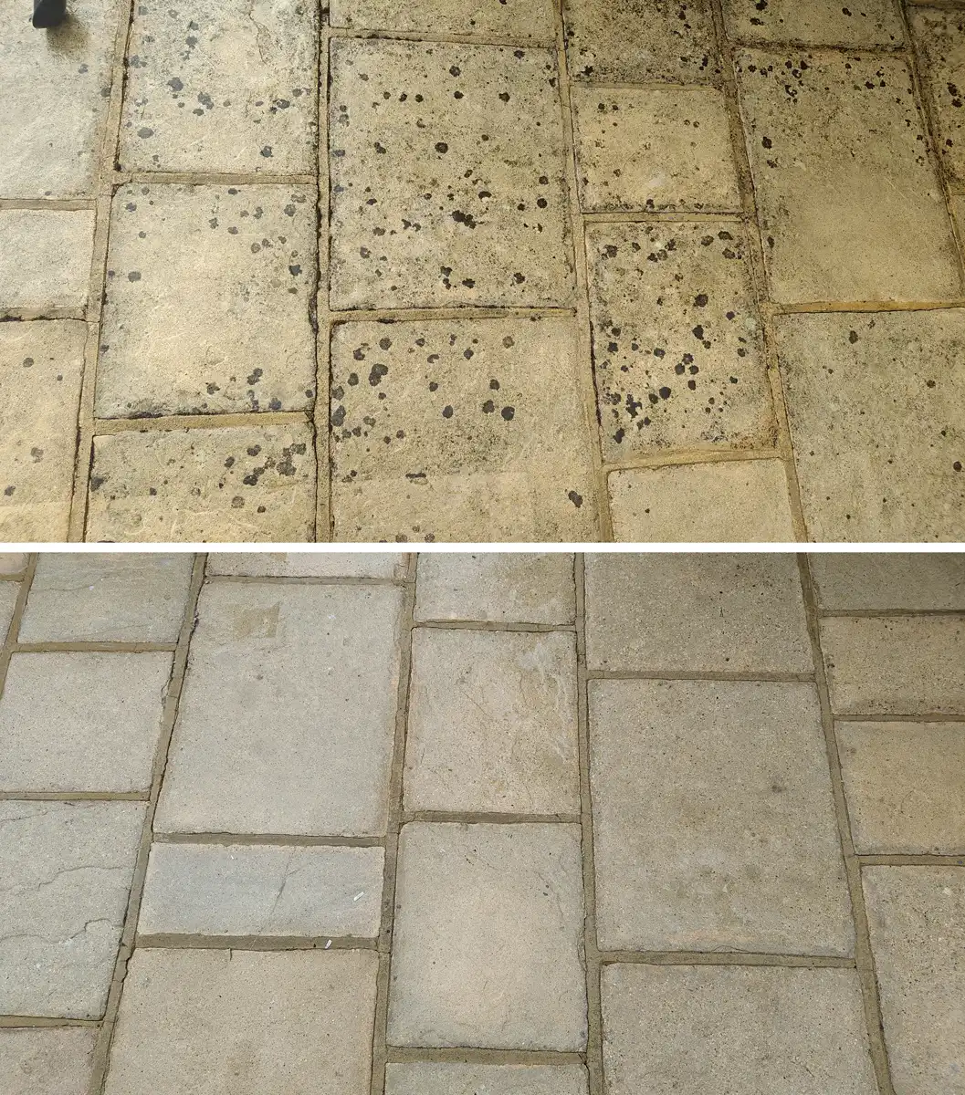 before and after black spot removal